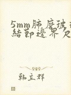 5mm肺磨玻璃结节边界欠清