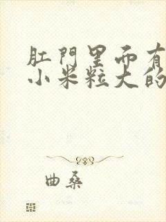 肛门里面有一个小米粒大的硬疙瘩