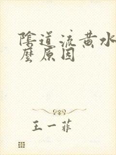 阴道流黄水是什么原因