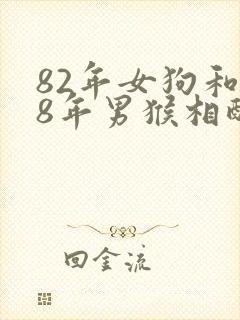 82年女狗和68年男猴相配婚姻如何