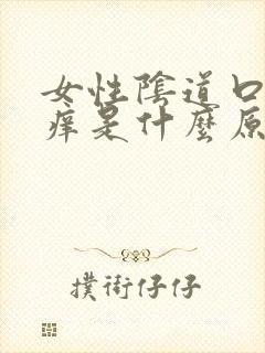 女性阴道口外面痒是什么原因