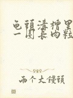 龟头沟槽里边缘一圈长肉粒,很小