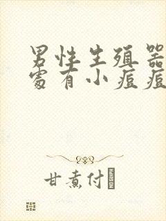 男性生殖器上面处有小痘痘