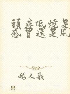 头疼低烧是风寒感冒还是风热感冒