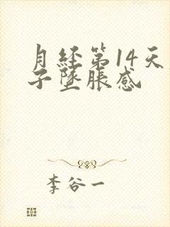 月经第14天肚子坠胀感