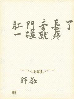 肛门旁长了个包一碰就疼