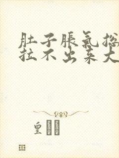 肚子胀气总放屁拉不出来大便