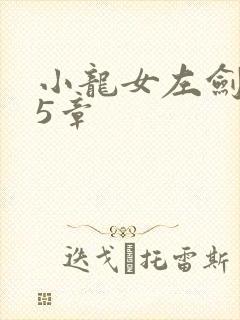 小龙女左剑清25章