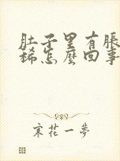 肚子里有胀气拉稀怎么回事封面