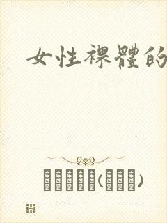 女性裸体的样子封面