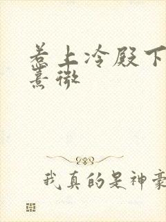 惹上冷殿下晨光熹微