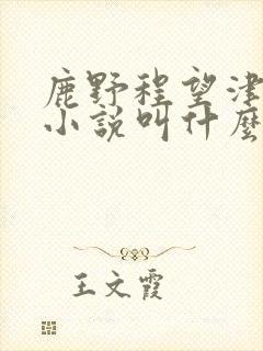 鹿野程望津原著小说叫什么名字