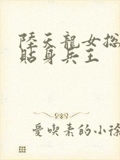 陆天龙女总裁的贴身兵王封面