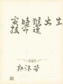 寅时猴出生的男孩命运封面