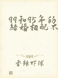 99和95年的结婚相配不封面