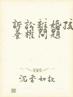 诉讼离婚孩子抚养权问题