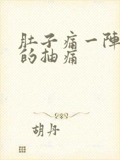 肚子痛一阵一阵的抽痛