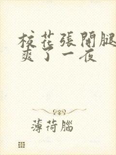 校花张开腿让我爽了一夜