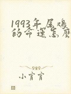 1993年属鸡的命运怎么样封面