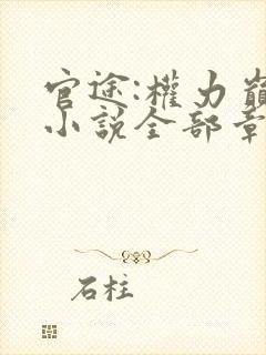 官途:权力巅峰小说全部章节