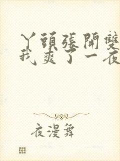 丫头张开双腿让我爽了一夜封面