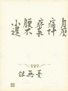 小腹疼痛月经推迟不来什么原因