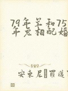 79年羊和75年兔相配婚姻如何封面