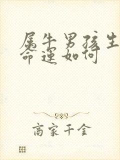 属牛男孩生丑时命运如何