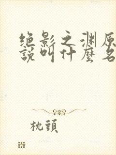绝影之渊原著小说叫什么名字