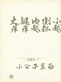 大腿内侧小红点痒痒越抓越痒封面