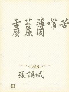 舌苔薄嘴苦是什么原因