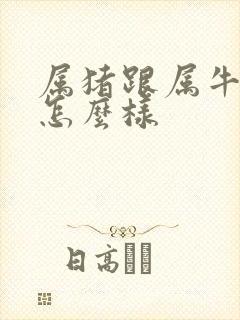 属猪跟属牛姻缘怎么样