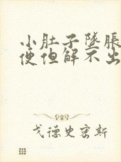 小肚子坠胀想大便但解不出来封面
