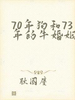 70年狗和73年的牛婚姻