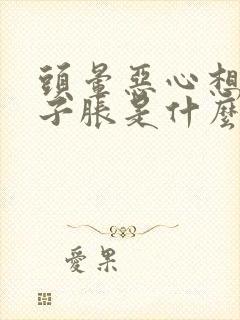 头晕恶心想吐肚子胀是什么原因造成的