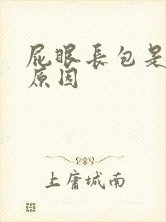 屁眼长包是什么原因