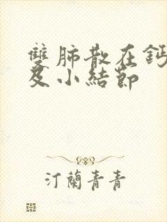 双肺散在钙化灶及小结节