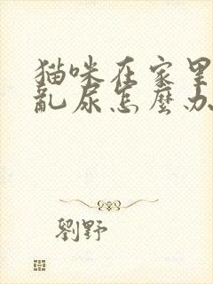 猫咪在家里乱拉乱尿怎么办封面