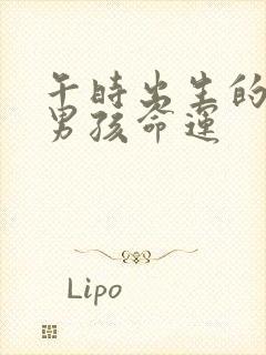 午时出生的属鼠男孩命运封面