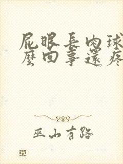 屁眼长肉球是怎么回事还疼封面