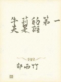 牛莉的第一任丈夫是谁