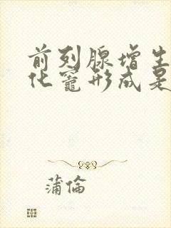 前列腺增生及钙化灶形成是什么意思