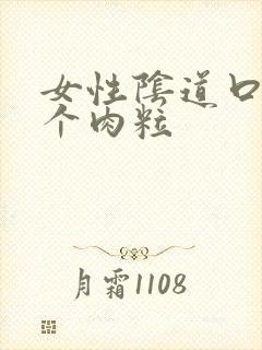 女性阴道口有一个肉粒封面