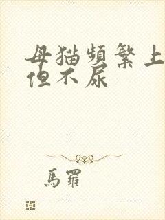 母猫频繁上厕所但不尿