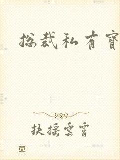 总裁私有宝贝封面