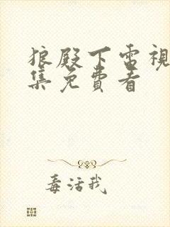 狼殿下电视剧全集免费看