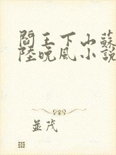 阎王下山苏文,陆晚风小说封面