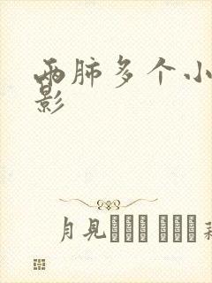 两肺多个小结节影