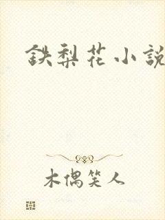 铁梨花小说