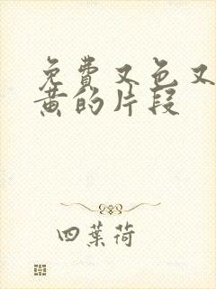 免费又色又爽又黄的片段